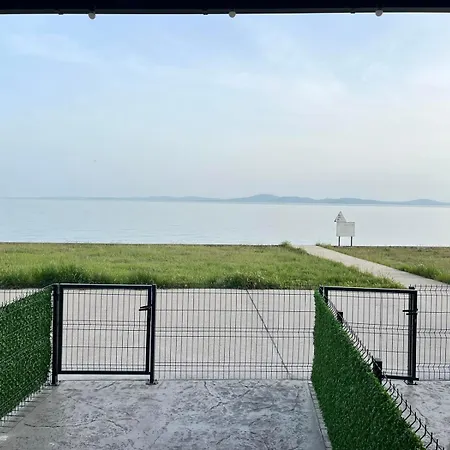 Aliara Dilara פומורי