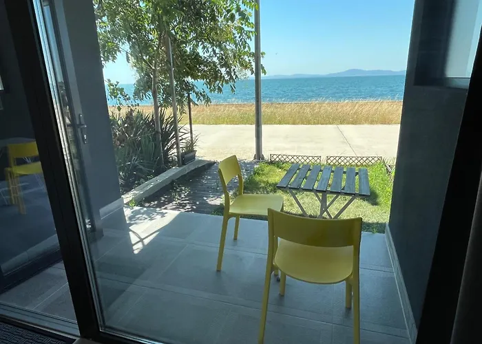 Aliara Dilara Pomorie